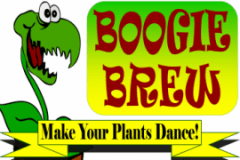 Boogie Brew