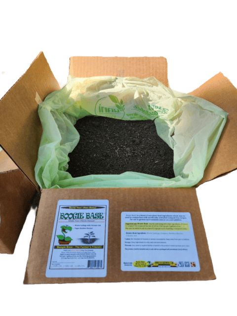 Bulk Boogie Boxes | Boogie Brew